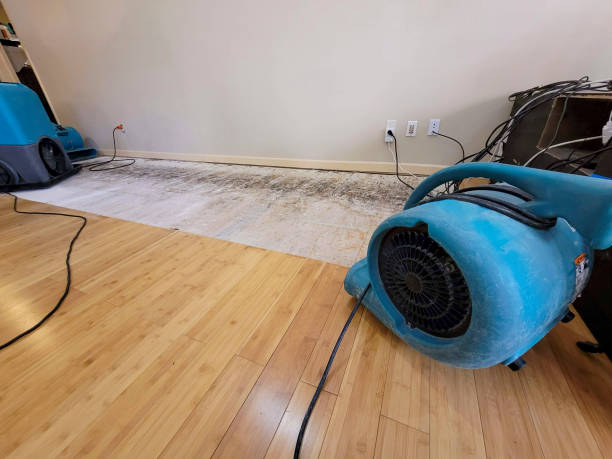 Reliable Basement Flood Cleanup contractor in Ridgeville, IN by Hirex Water Damage
