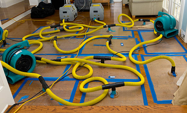 Professional Basement Flood Cleanup technician working in Ridgeville, IN